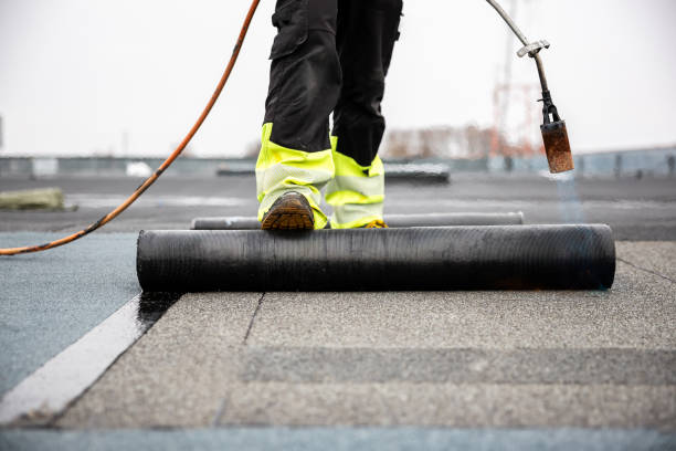 Professional Roofing Service in Blue Mountain, MS